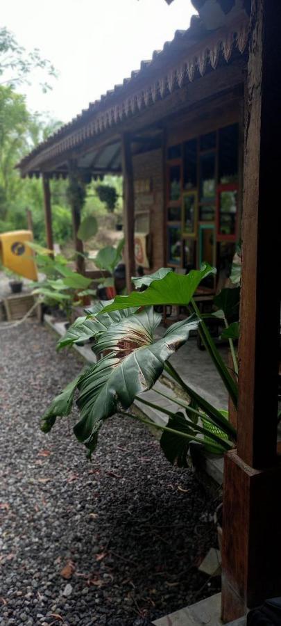 Omah Cantrik, Ethnic Java House With Nature View Jarakan Ngoại thất bức ảnh